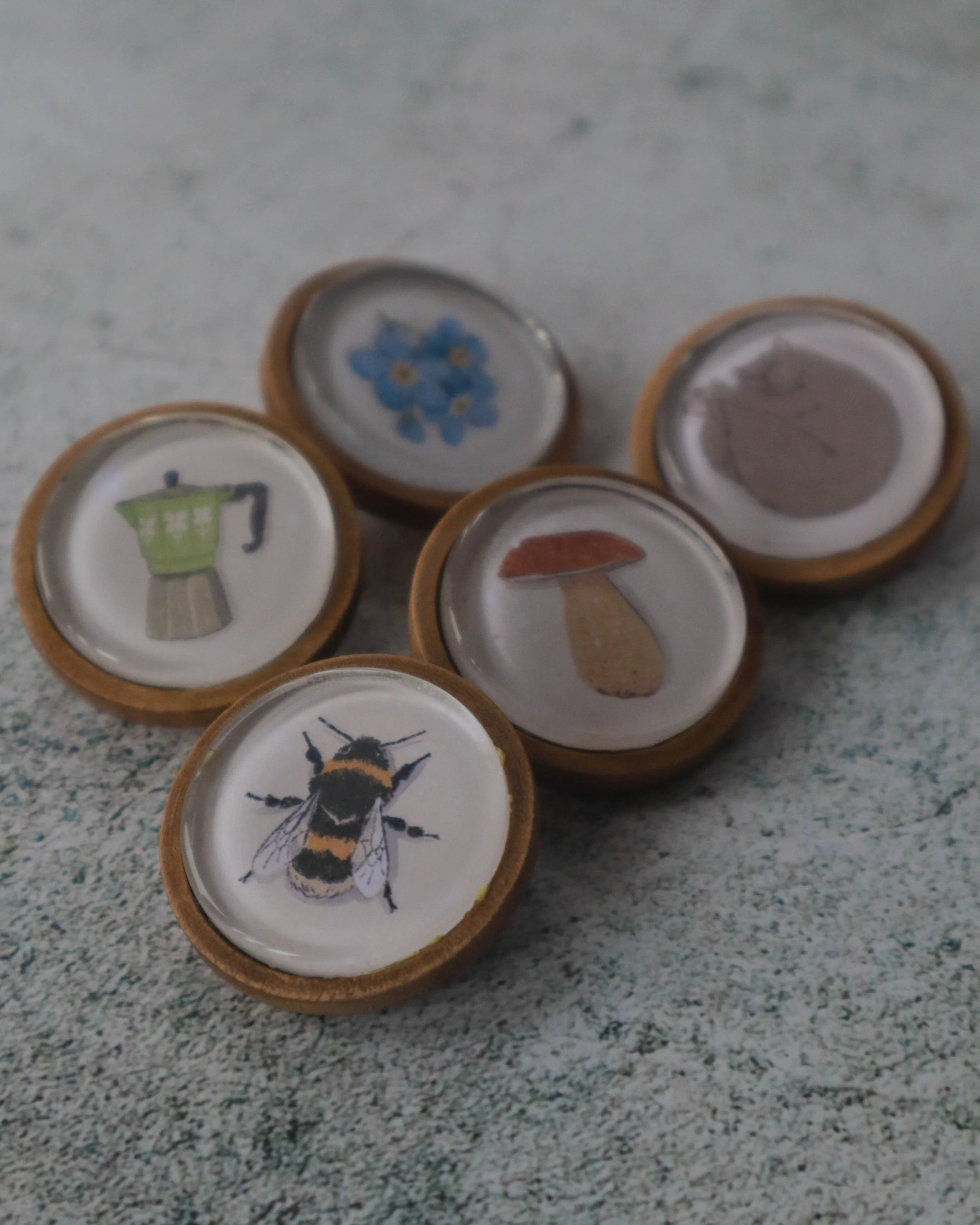 IMG_4675.jpg (copia) (copia)