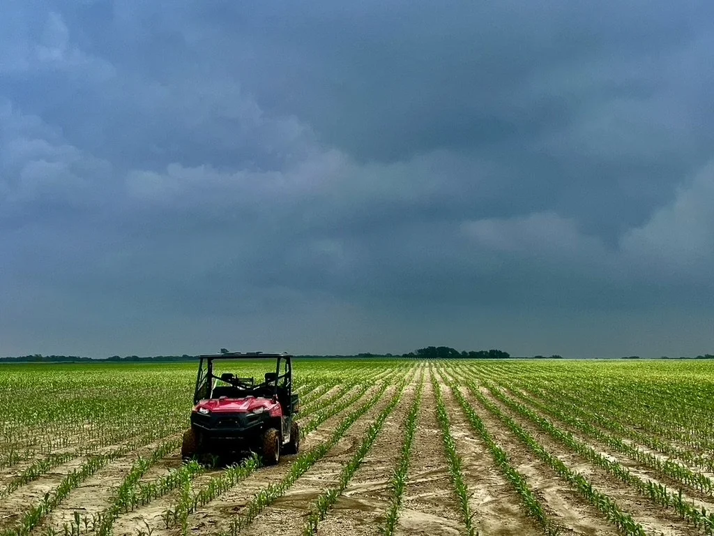 Untapped Soil Wealth: Why You Might Be Overpaying for Fertilizer
