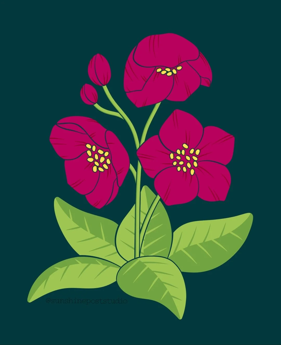 Hellebore for Bloomtober, featuring the world&rsquo;s most toxic blooms - hosted by @thepigeonletters #bloomtober