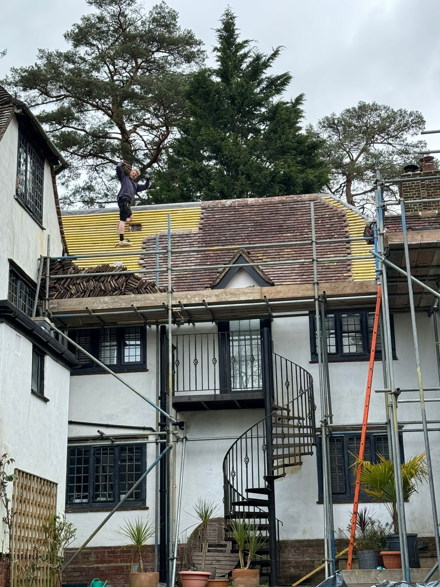 WhatsApp Image 2024-12-15 at 18.24.53.jpeg