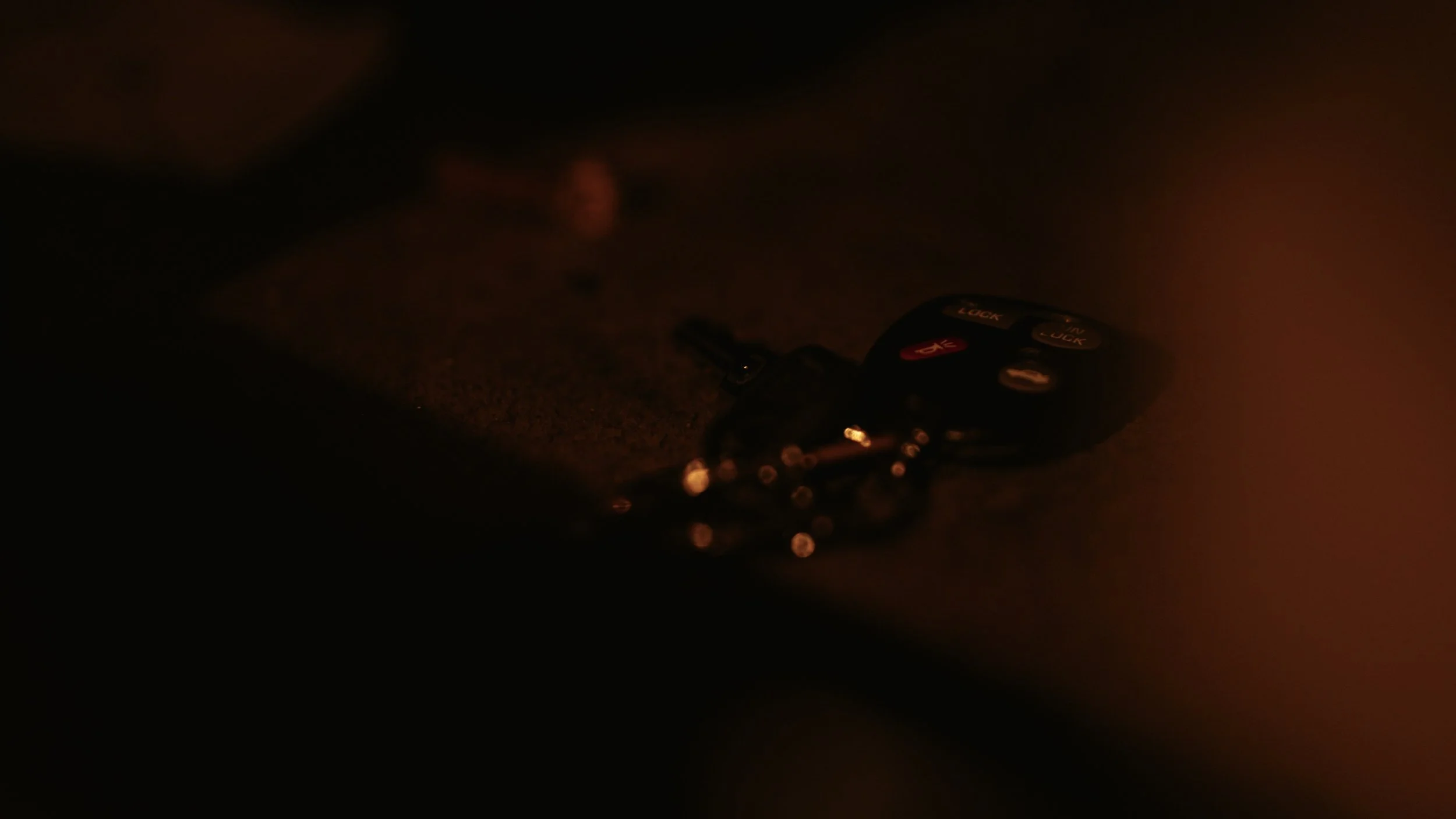 AL_Still_21.jpg