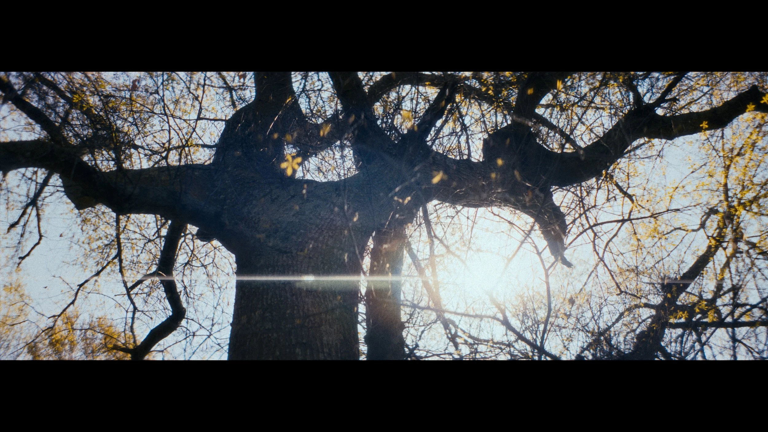 ATPL_Still_18.jpg
