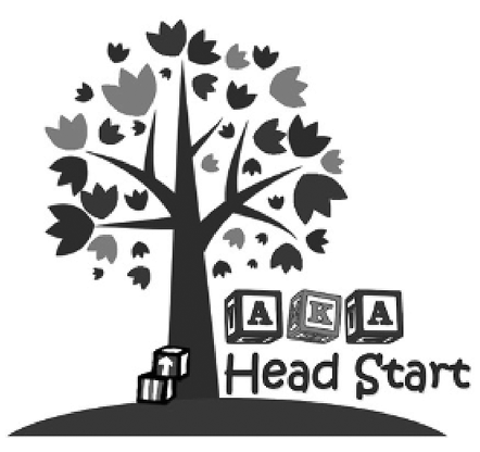 11_AKAHeadStart_HWC 1.png