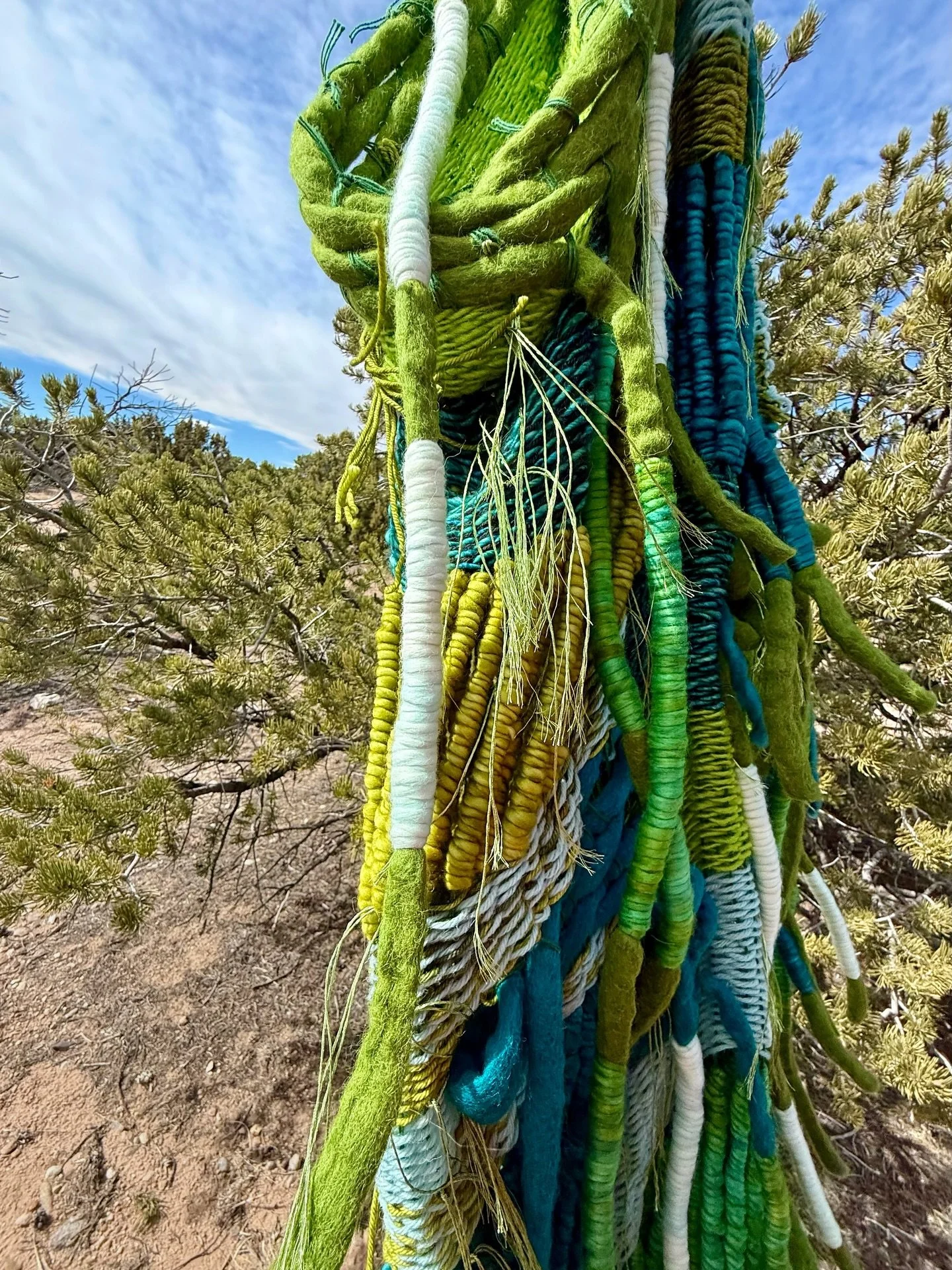&ldquo;Cascadia&rdquo; is a love letter to the PNW. My heart&rsquo;s forever home. I miss the ocean, giant old growth spruce trees, sword ferns, rivers, bald eagles, herds of elk, and delicious food. 💚🌊💚