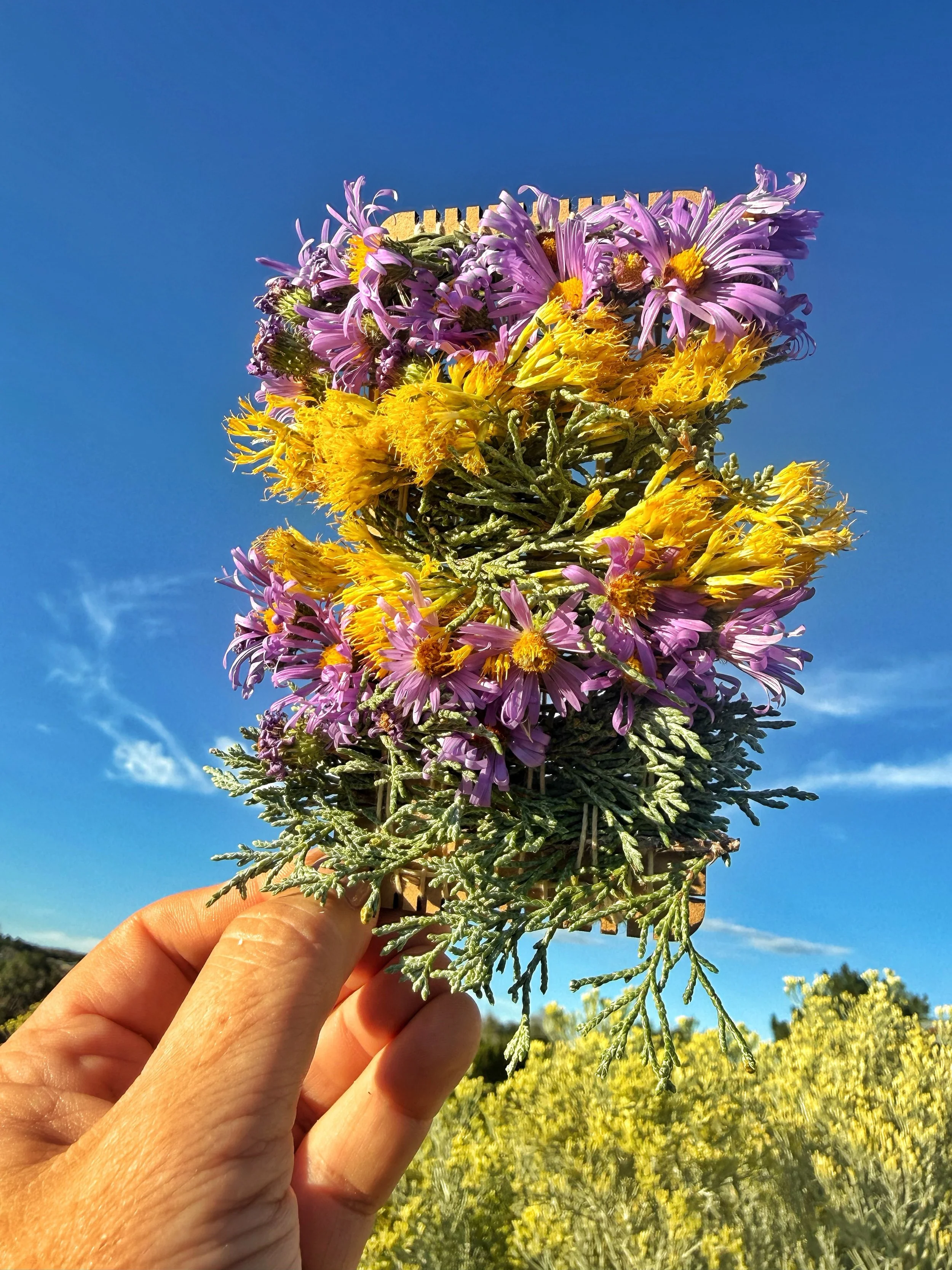 You really can weave anything! This is a baby Taos roadside bouquet weaving, created with rabbit bush, purple asters, and juniper. I am will be doing a series of these for my Sustainability class at UNM.