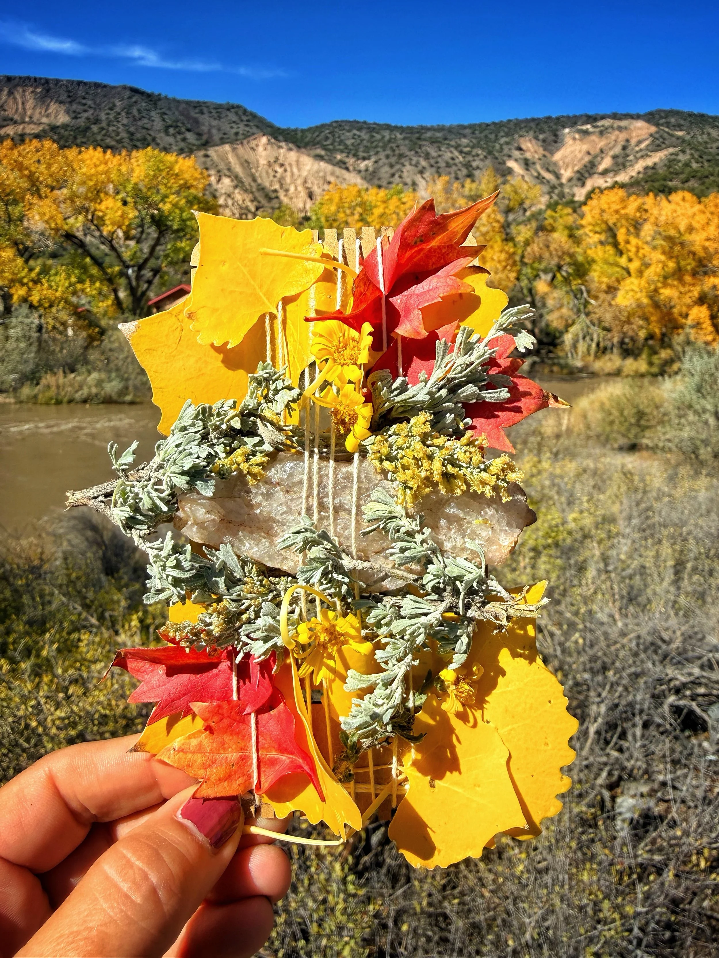 R&iacute;o Grande roadside bouquet weaving with quartz, cottonwood leaves, sage, and groundsel. What a gorgeous time of year! 🍁