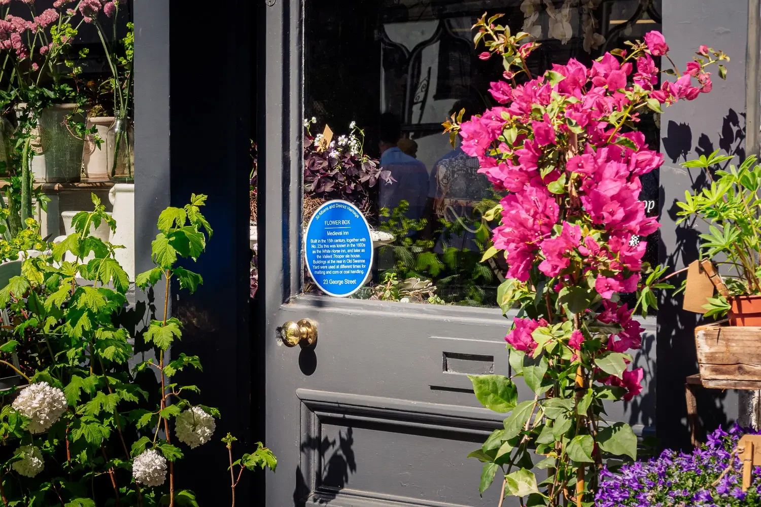 Flower shop doorway with heritage plaque and bougainvillea on George Street, St Albans