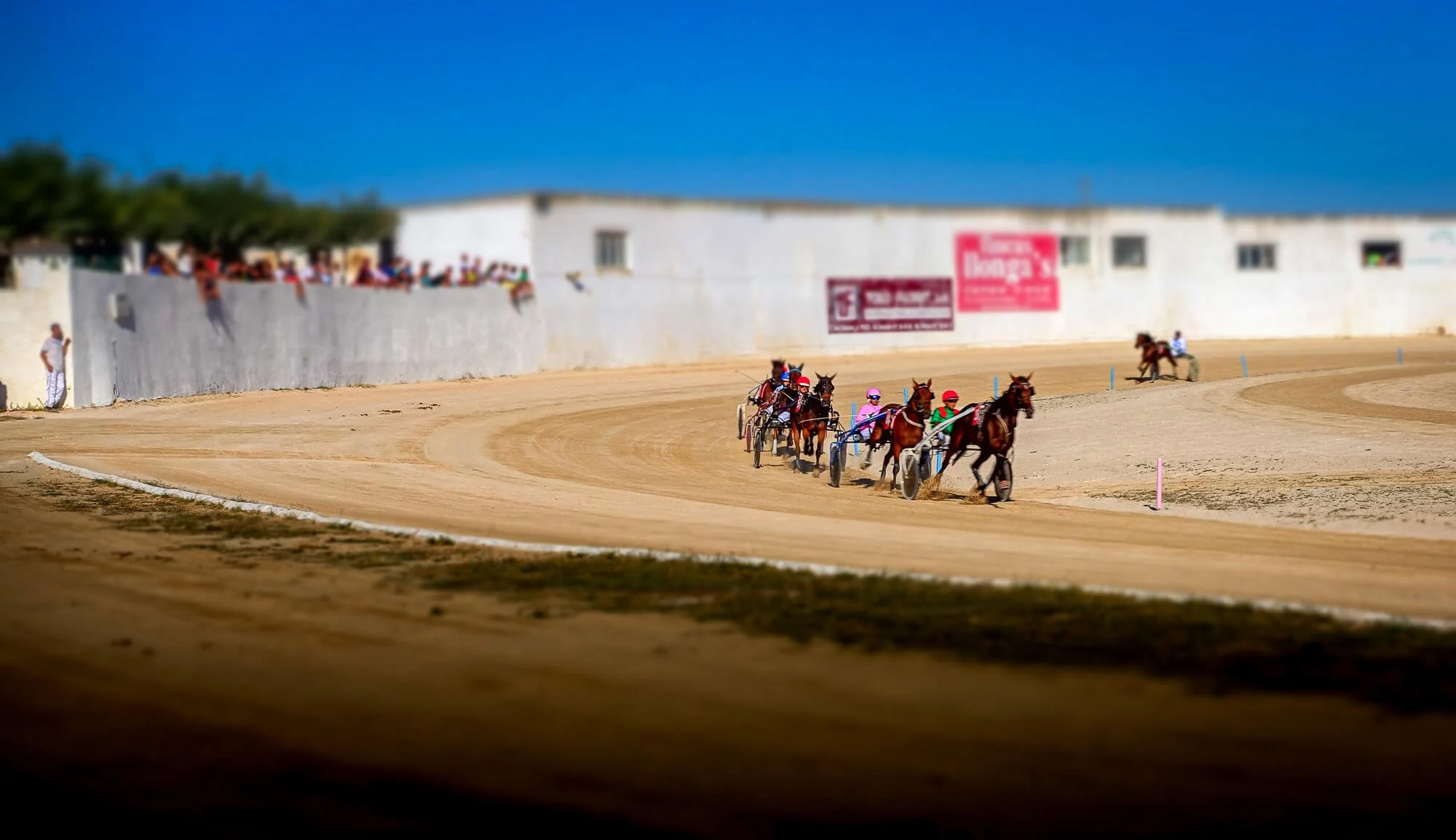 Harness horse racing on a sand track in Menorca with tilt shift effect