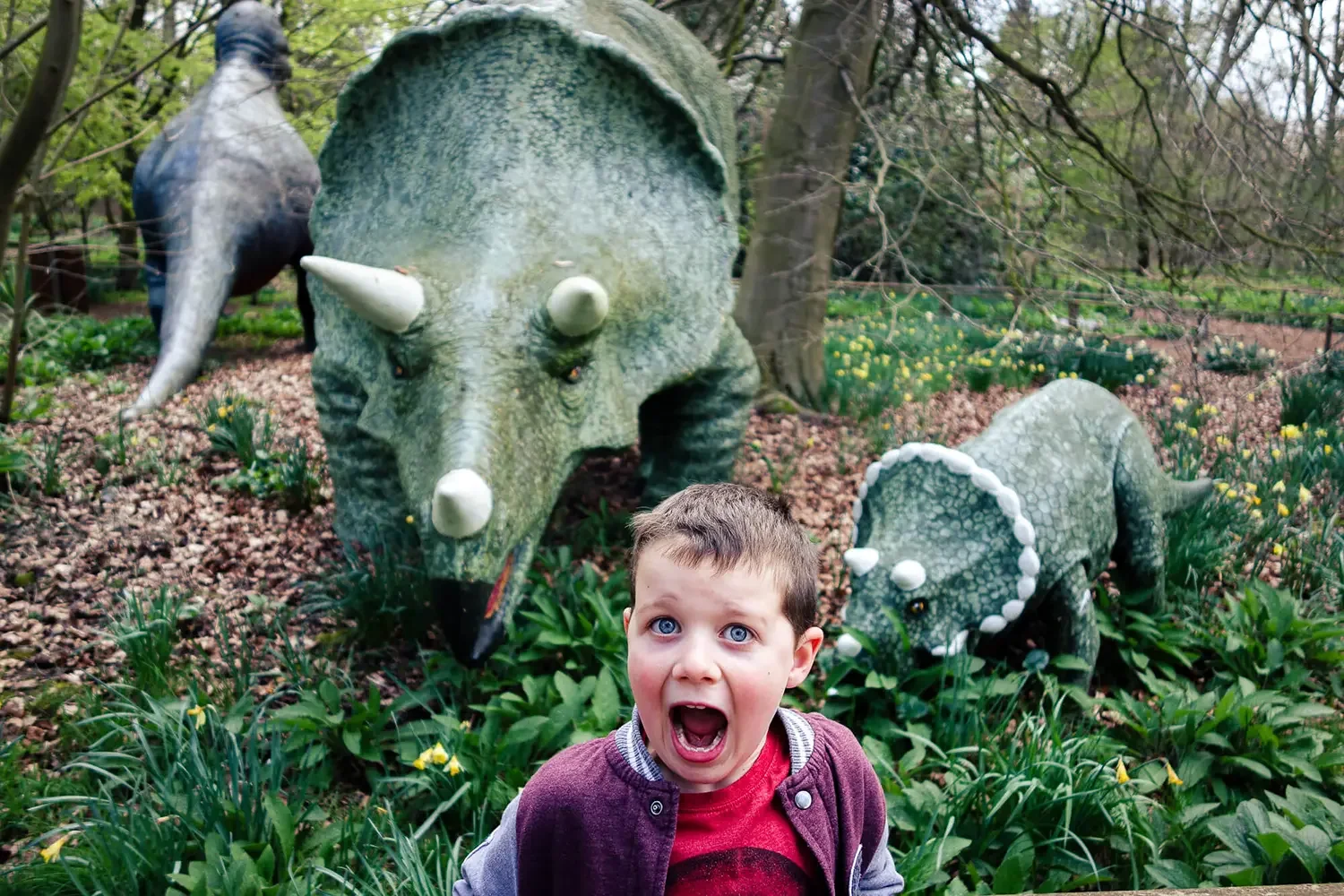 A young boy with blue eyes and short brown hair, wearing a maroon jacket over a red shirt, with his mouth open, stands in front of dinosaur sculptures in a garden setting. The sculptures include a large green triceratops with white horns and a smalle