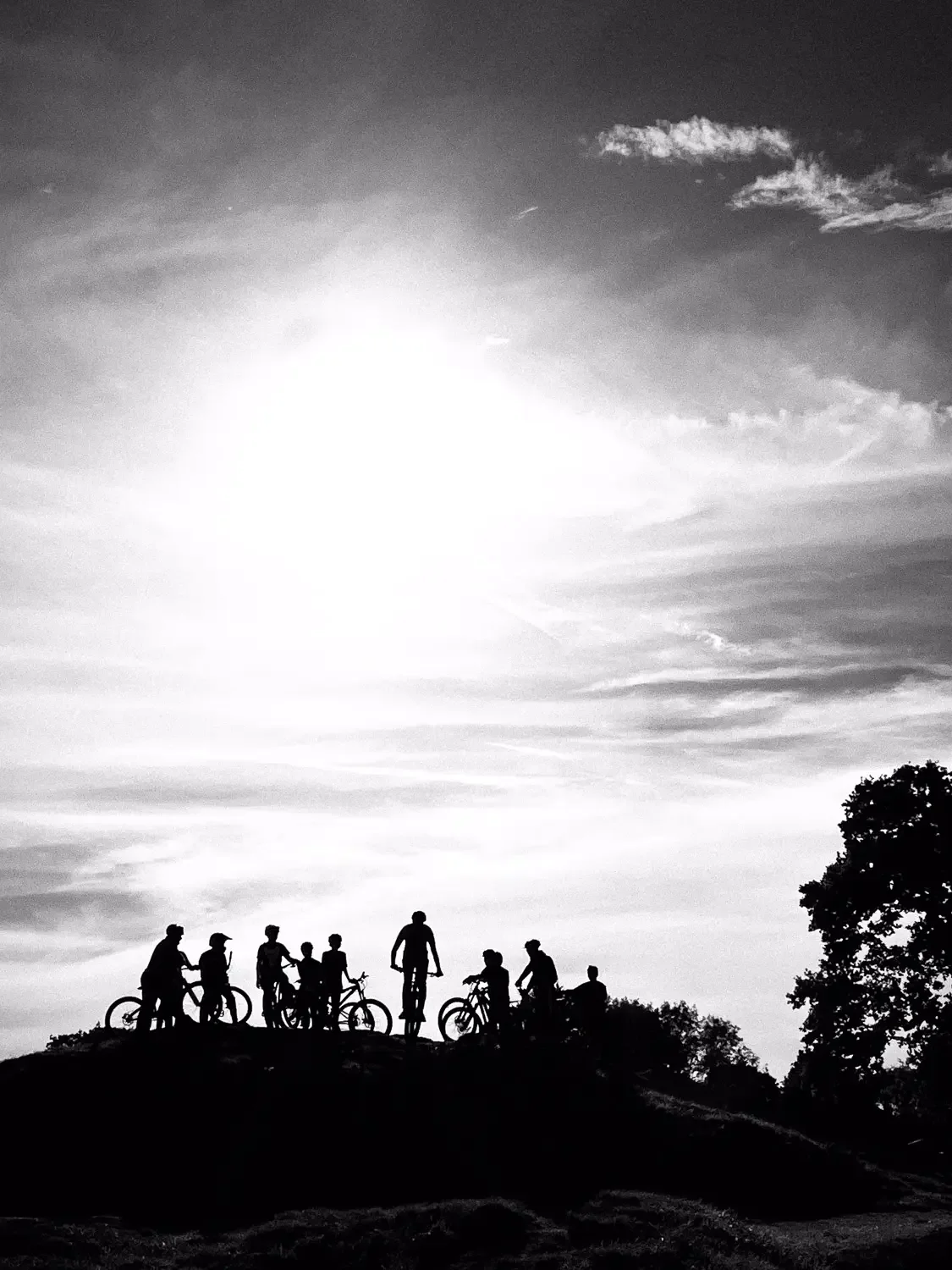 Silhouettes of children and a man with bicycles on a hilltop against a bright sky with clouds.