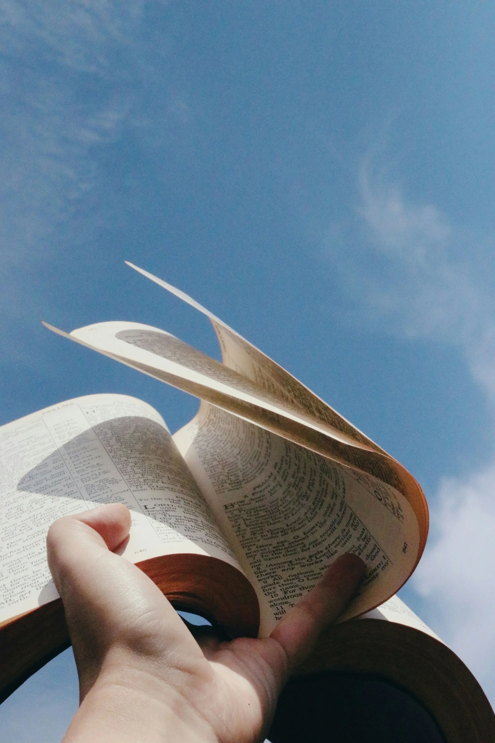 Person holding an open book against a blue sky background.