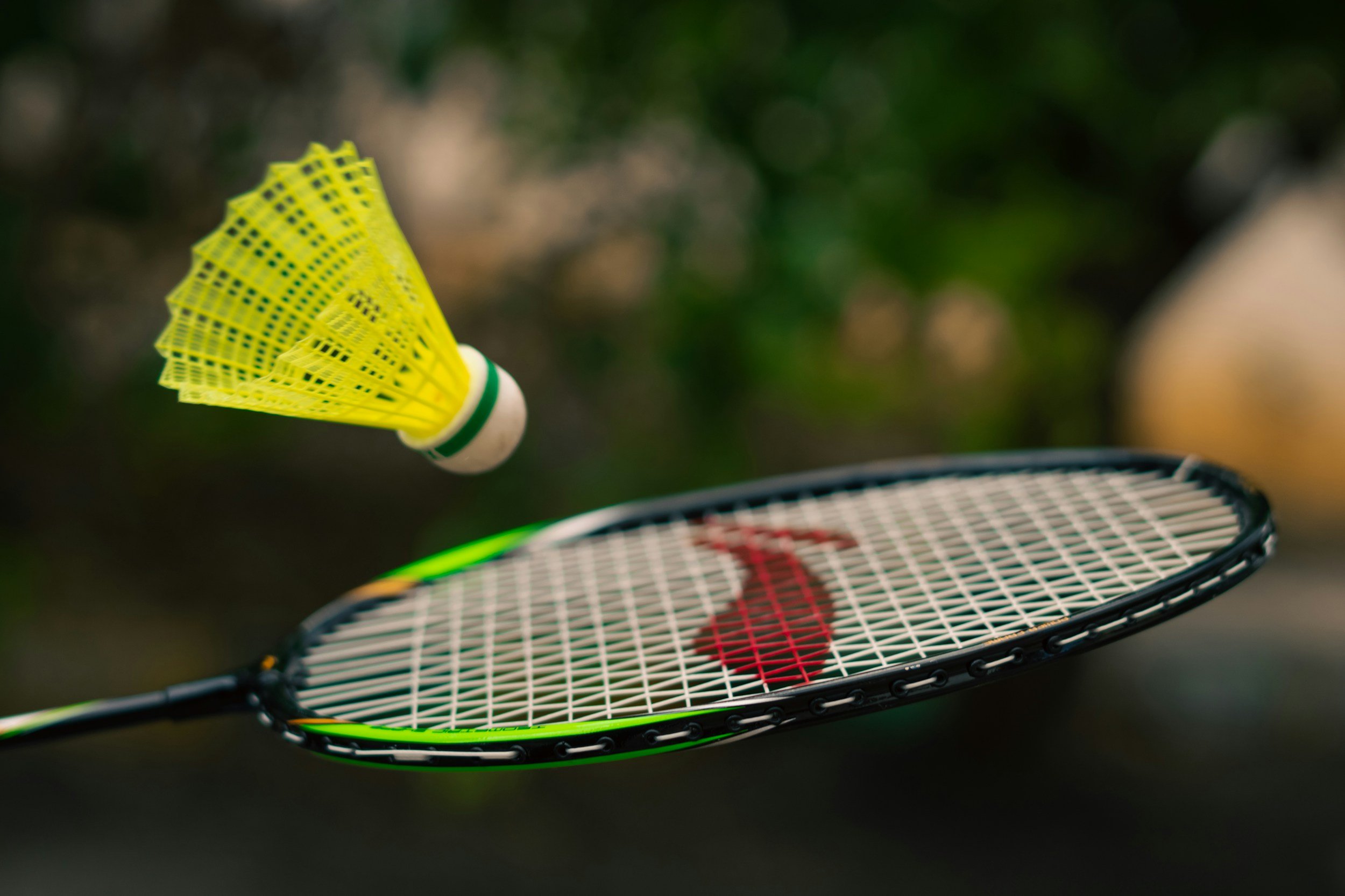 Badminton Championships (Finals)