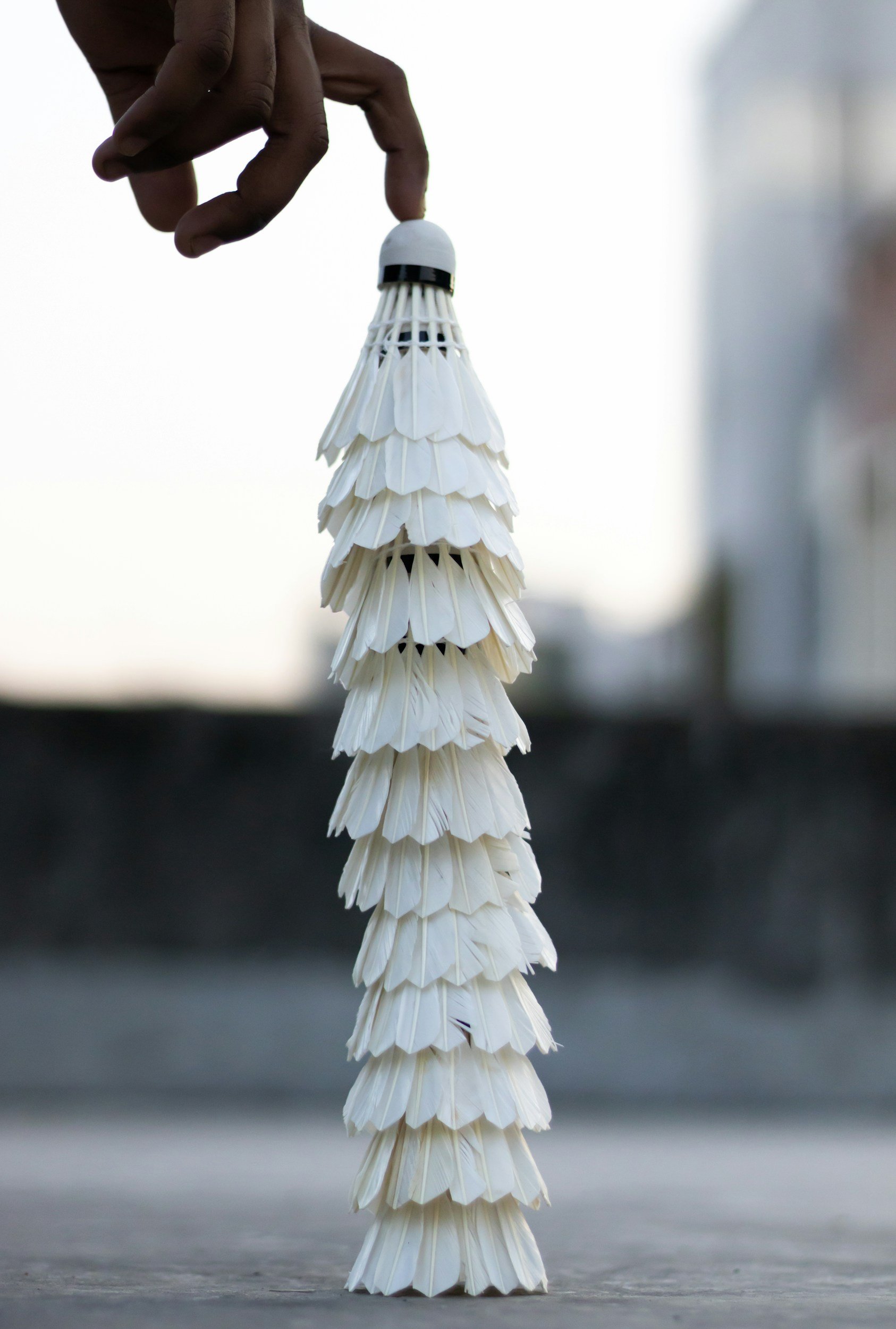 Badminton season starts