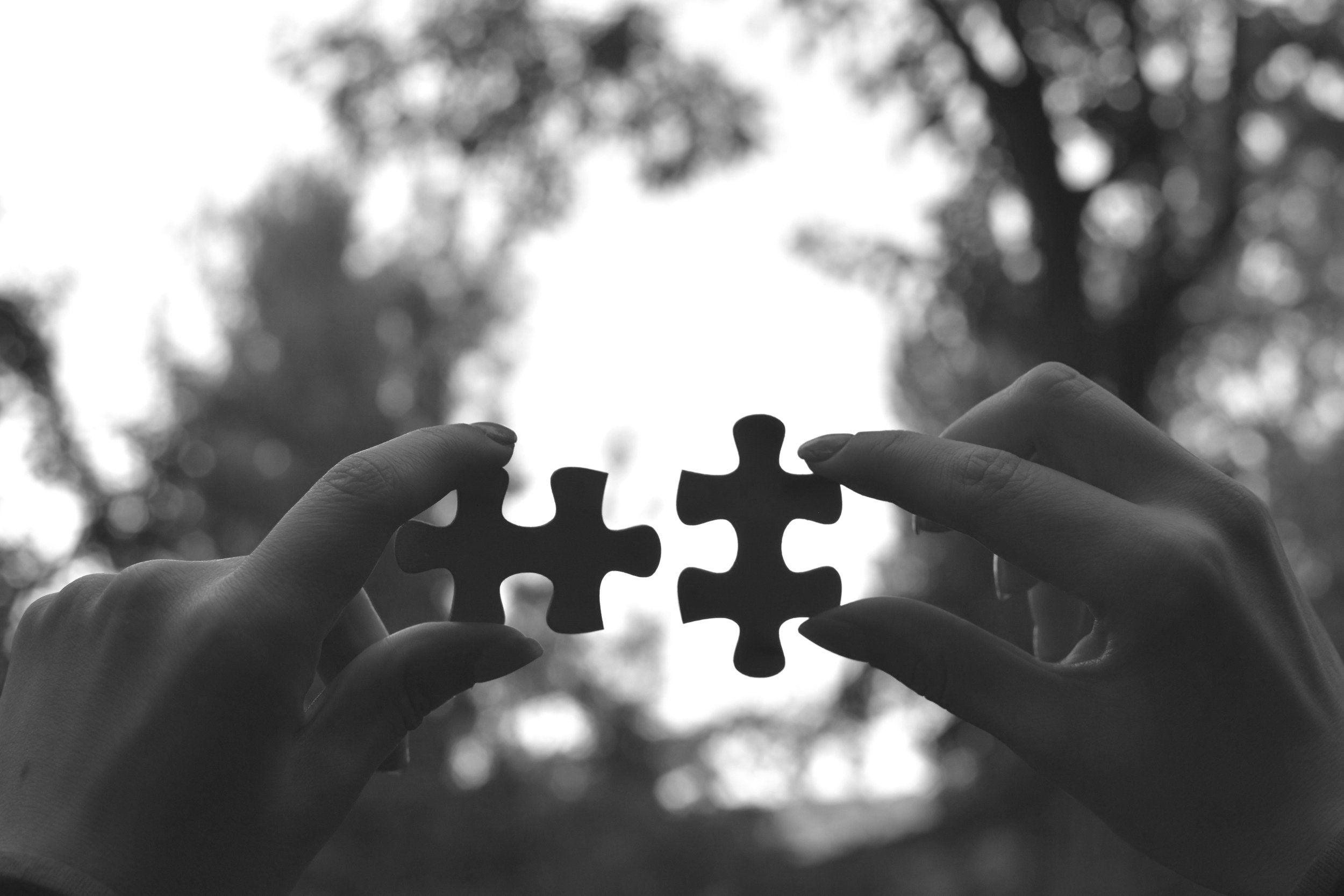 CISVA CSL K-7 Puzzle Piece #3: Portfolios (Revisited)