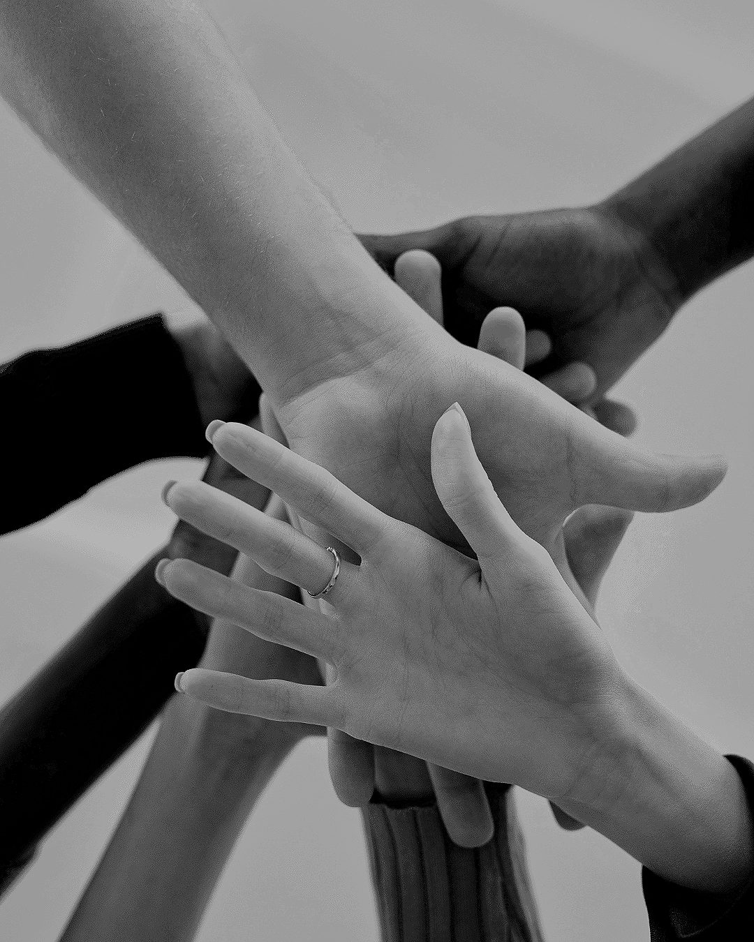 Introduction to the IEP Help Centre (Virtual)