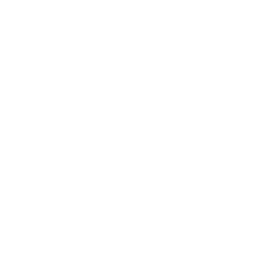Icon of a person speaking at a podium with a microphone