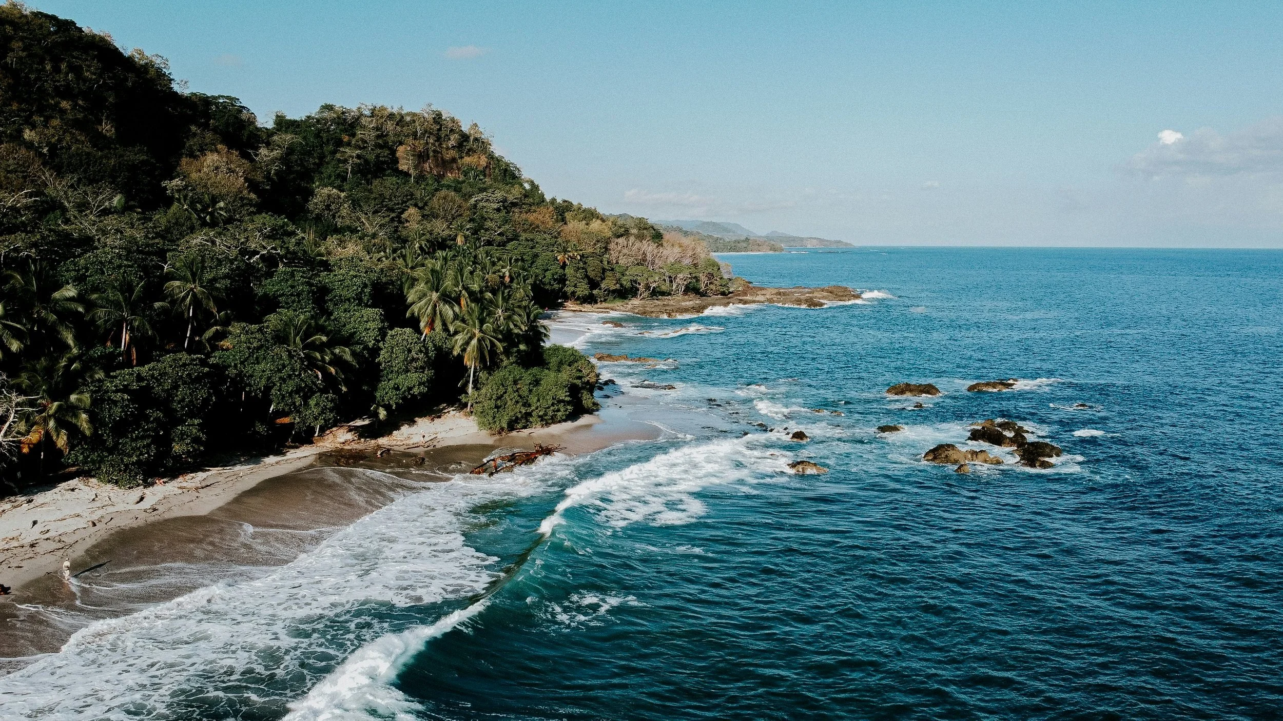 Seasonal Reflections