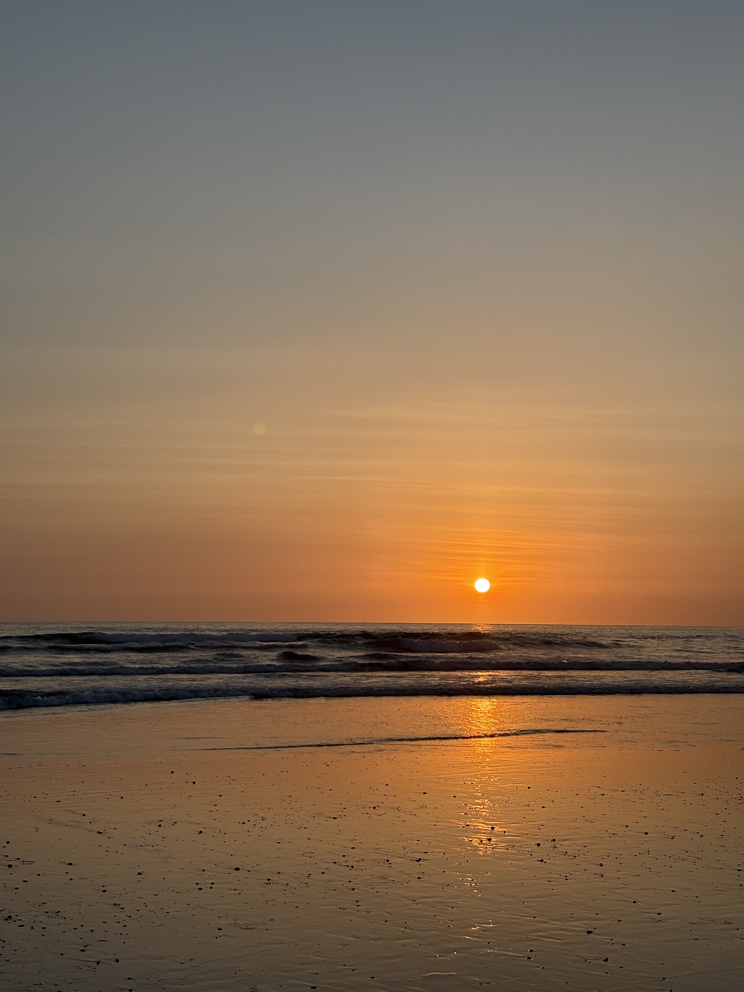 Seasonal Reflections