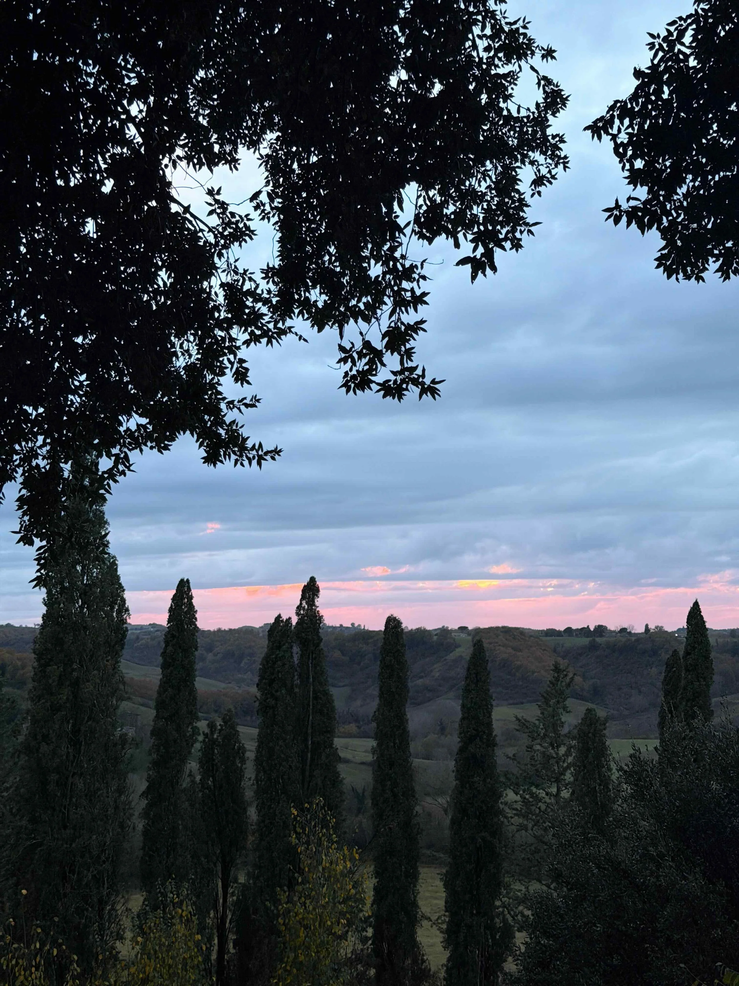 A Day on Ayurveda Retreat