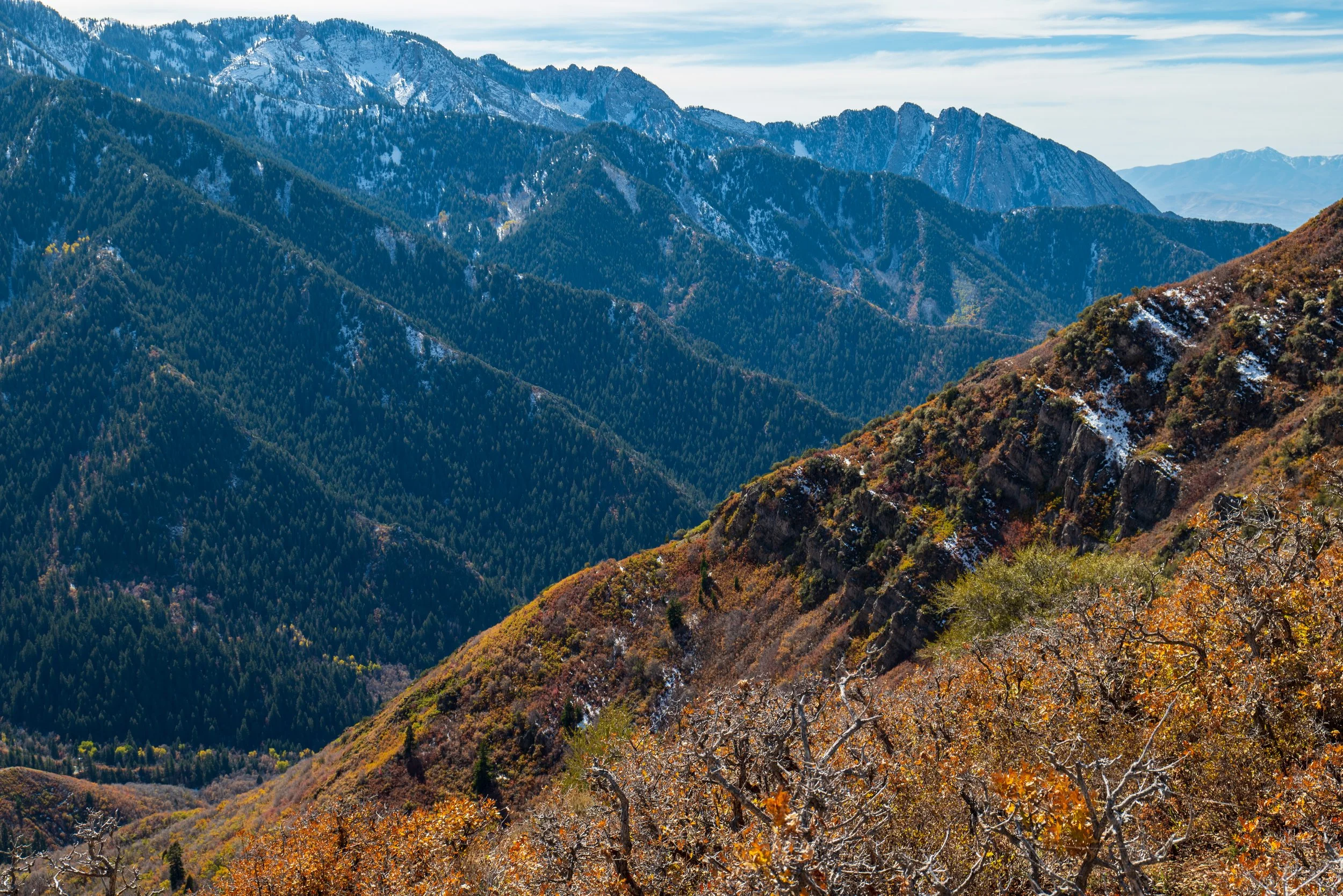 Layered views in Millcreek Canyon, UT. Enticer Media photography Salt Lake City, Utah.