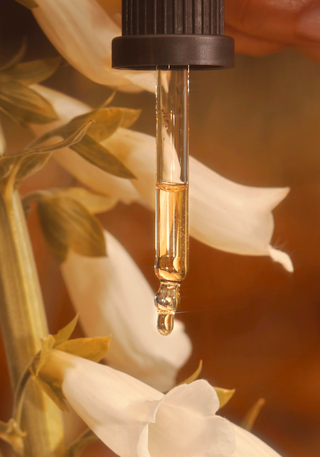 Screen Shot 2025-12-03 at 7.48.21 PM.png