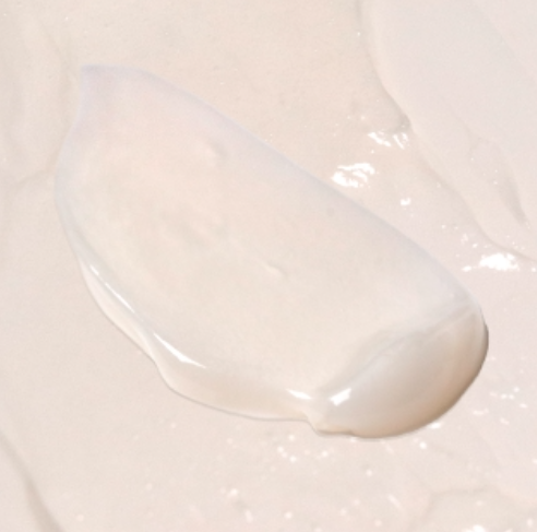 Screen Shot 2025-12-03 at 8.16.09 PM.png