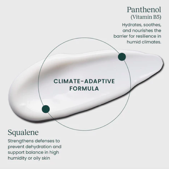 Screen Shot 2025-12-03 at 5.08.27 PM.png