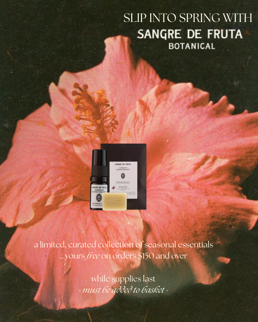 say hello to sangre de fruta-3.png