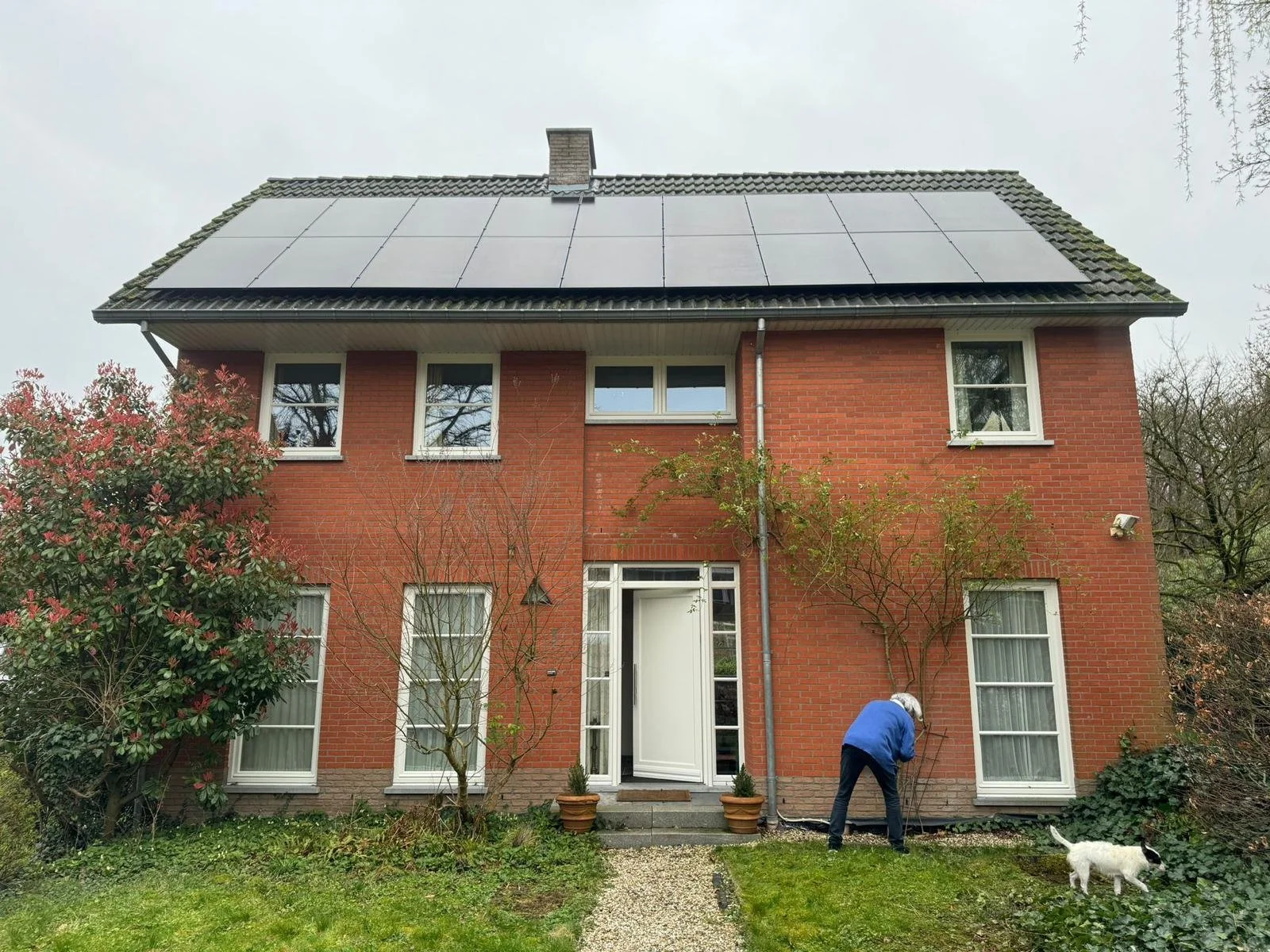 WhatsApp Image 2024-12-30 at 22.33.25.jpeg