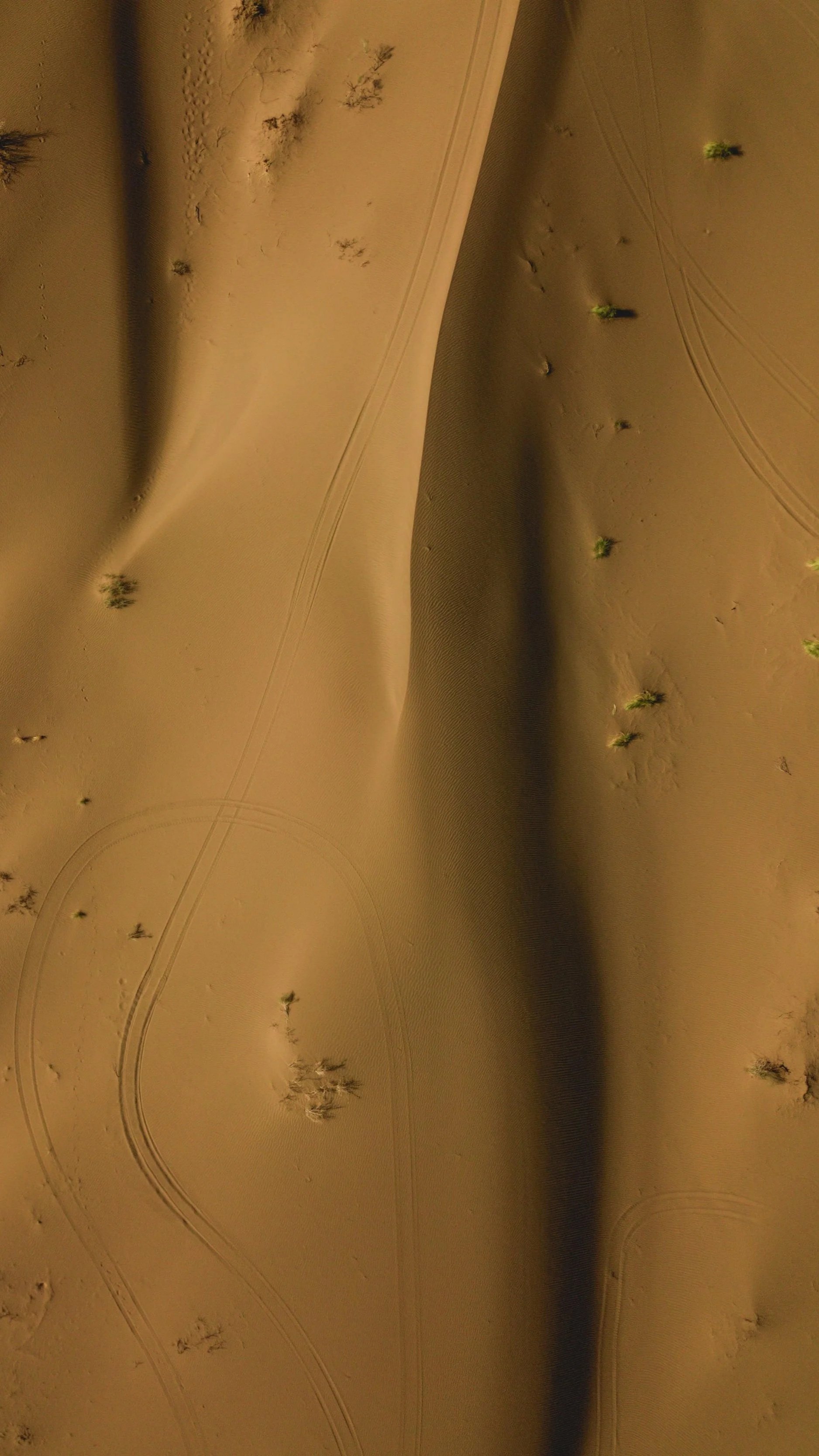 Aerial view of sand dunes with sparse vegetation and visible tire tracks at night.