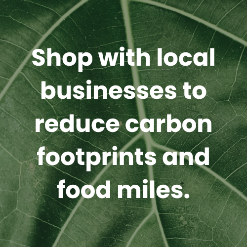 Orange and Greenish Circle Adventure Logo (1).png