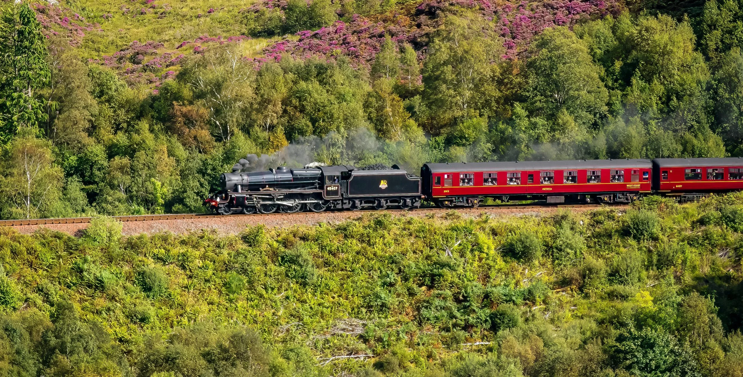 A black vintage steam train with red passenger cars traveling through a lush green landscape with blooming trees.