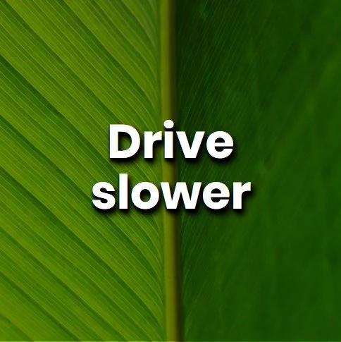 drive slower.jpg