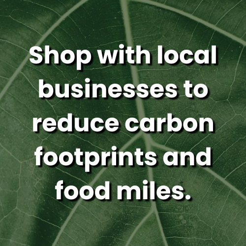 Orange and Greenish Circle Adventure Logo (2).png