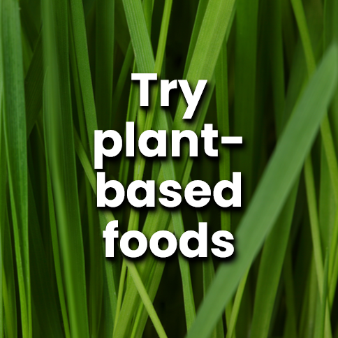 Try plant-based foods.png