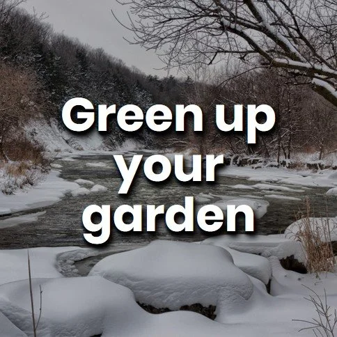 Green up your garden.jpg