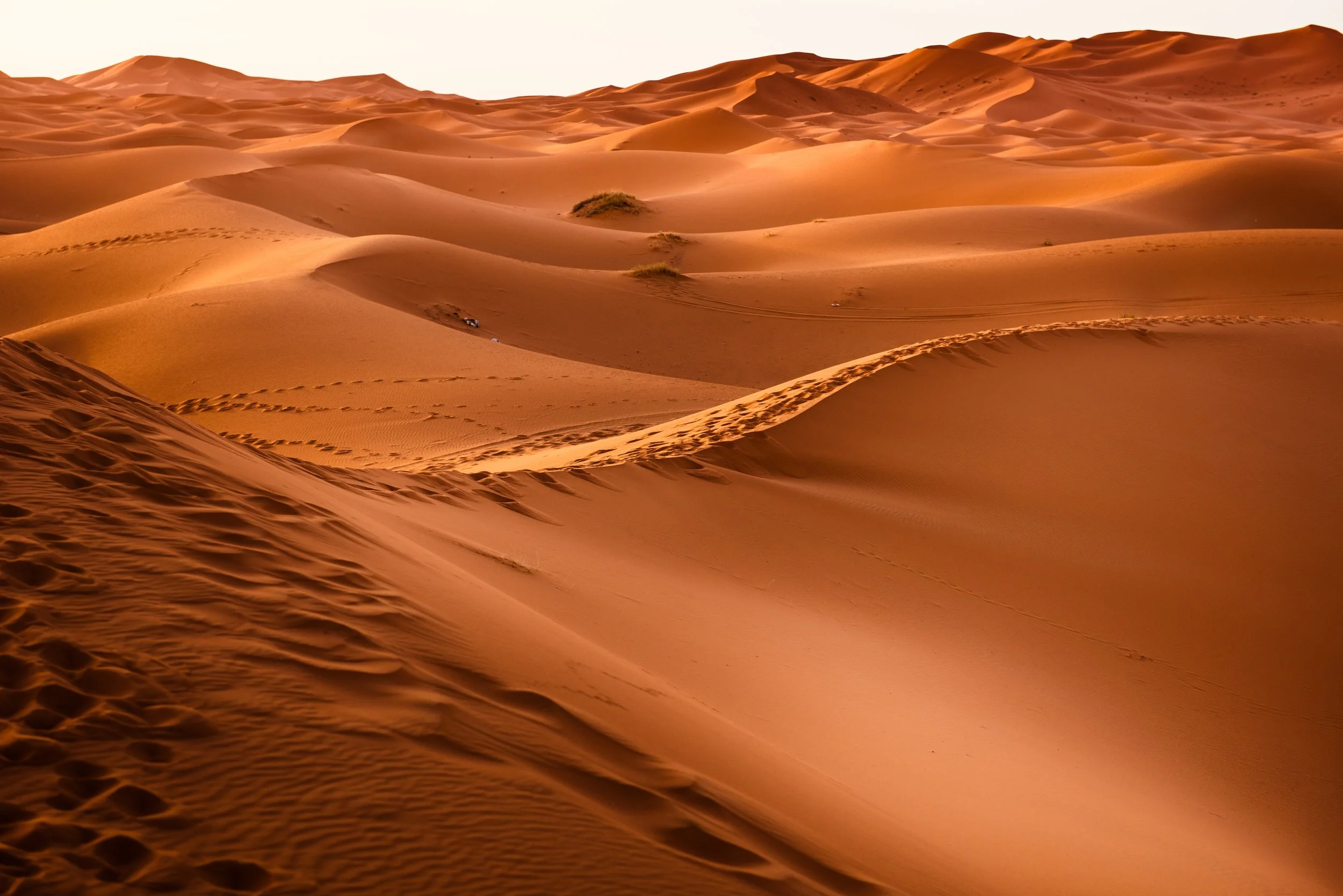 Sand dunes in a desert with tire tracks and footprints, under a clear sky during sunset or sunrise.