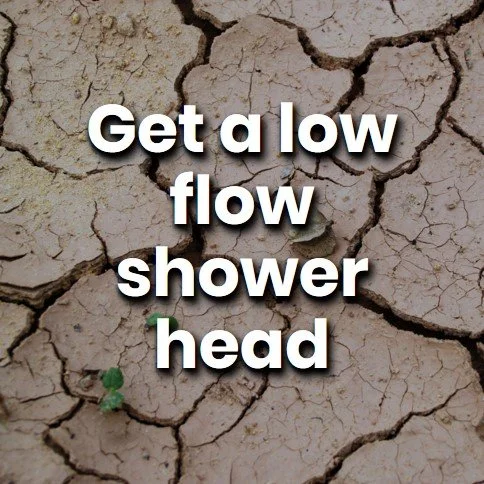 get a low flow shower head.jpg
