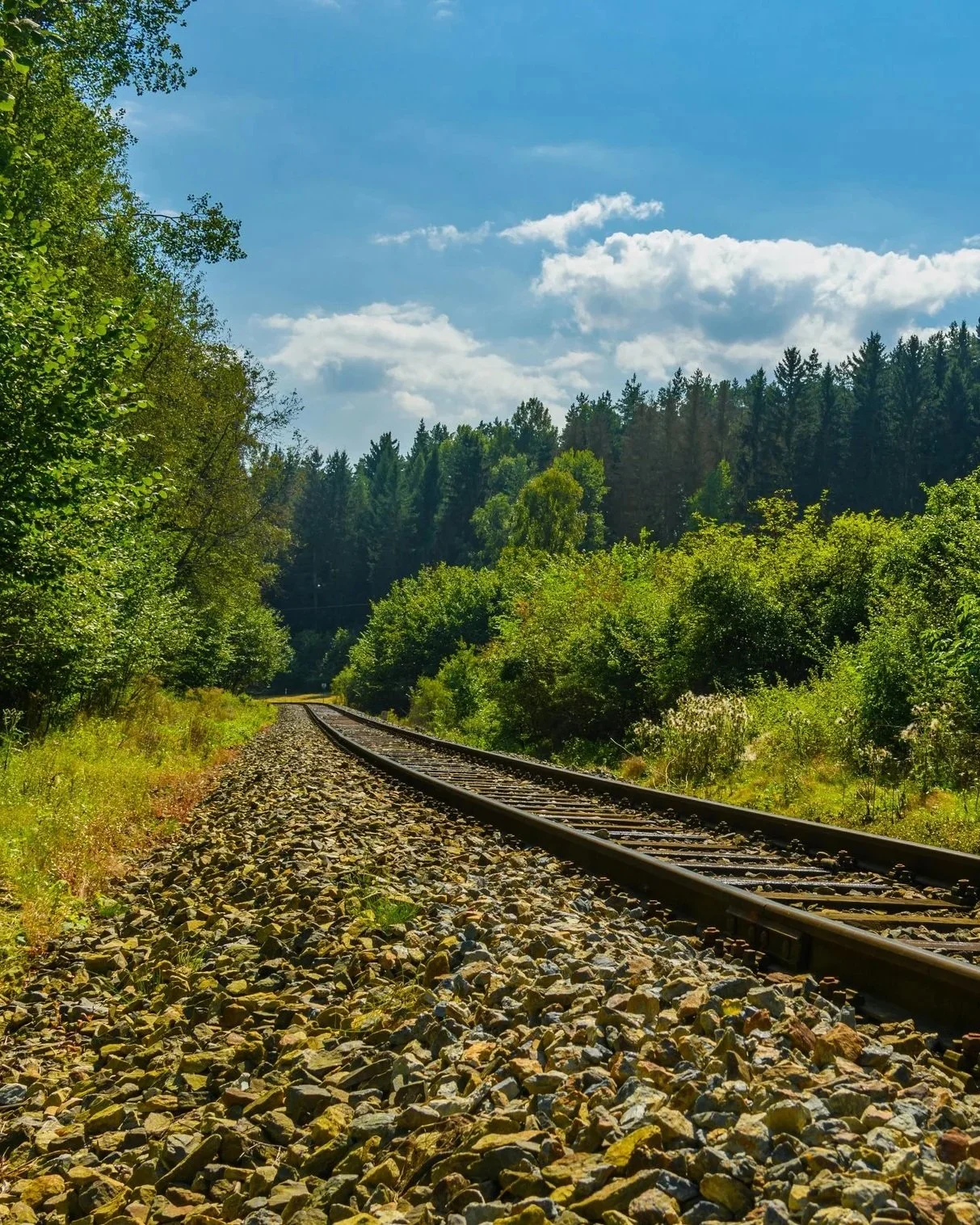 A railway track running through lush green forest with trees and bushes on either side under a partly cloudy sky.