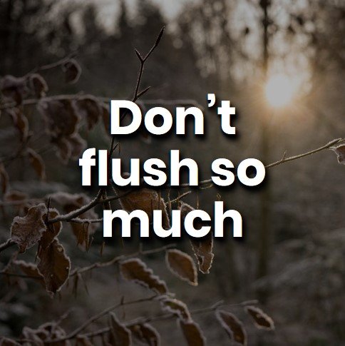 dont flush so much.jpg