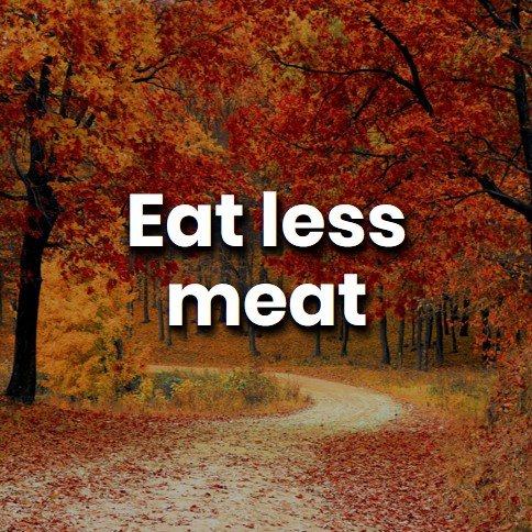 Eat Less Meat.jpg