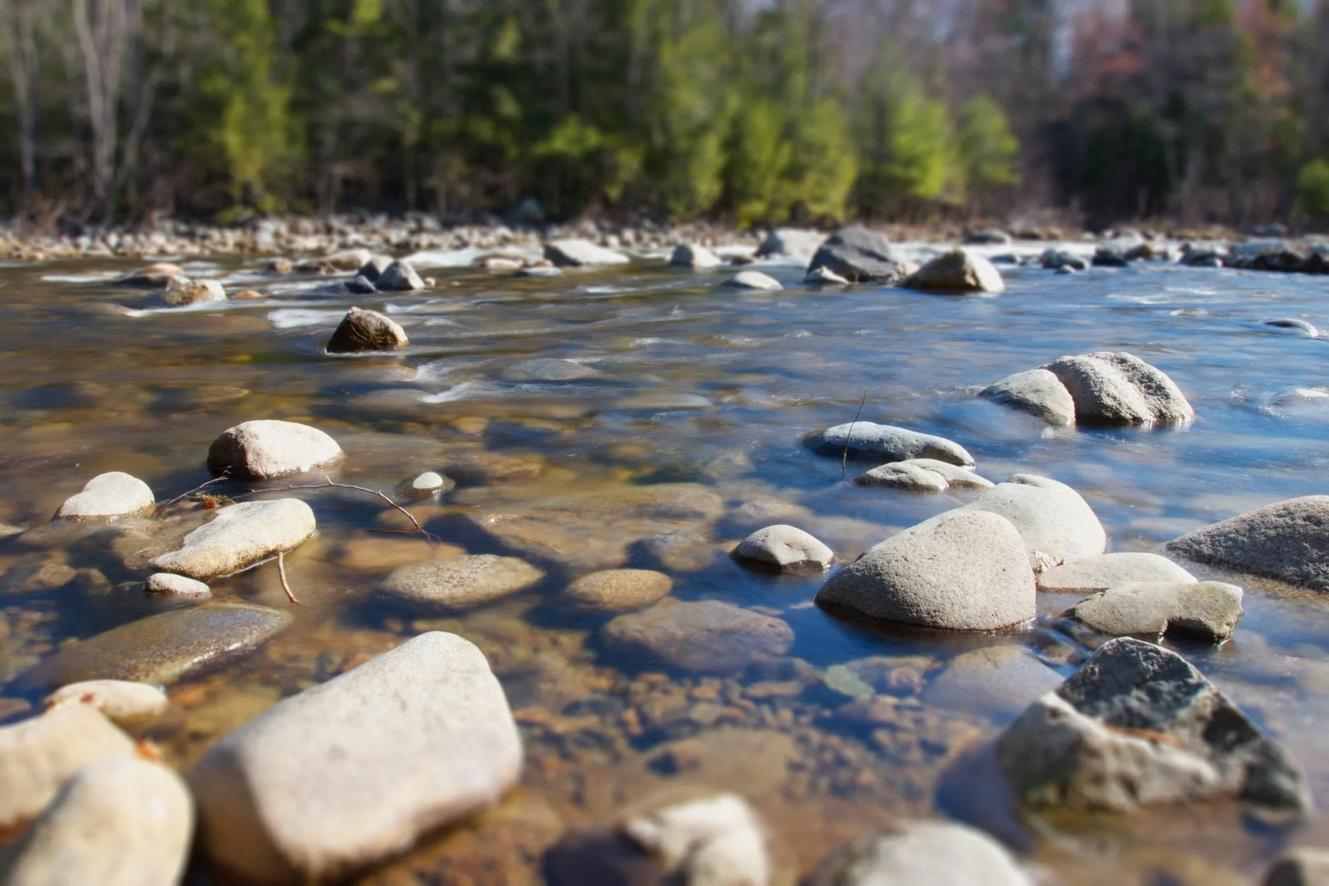A shallow river with rocks and pebbles in the water, backed by a forest of green and brown trees.