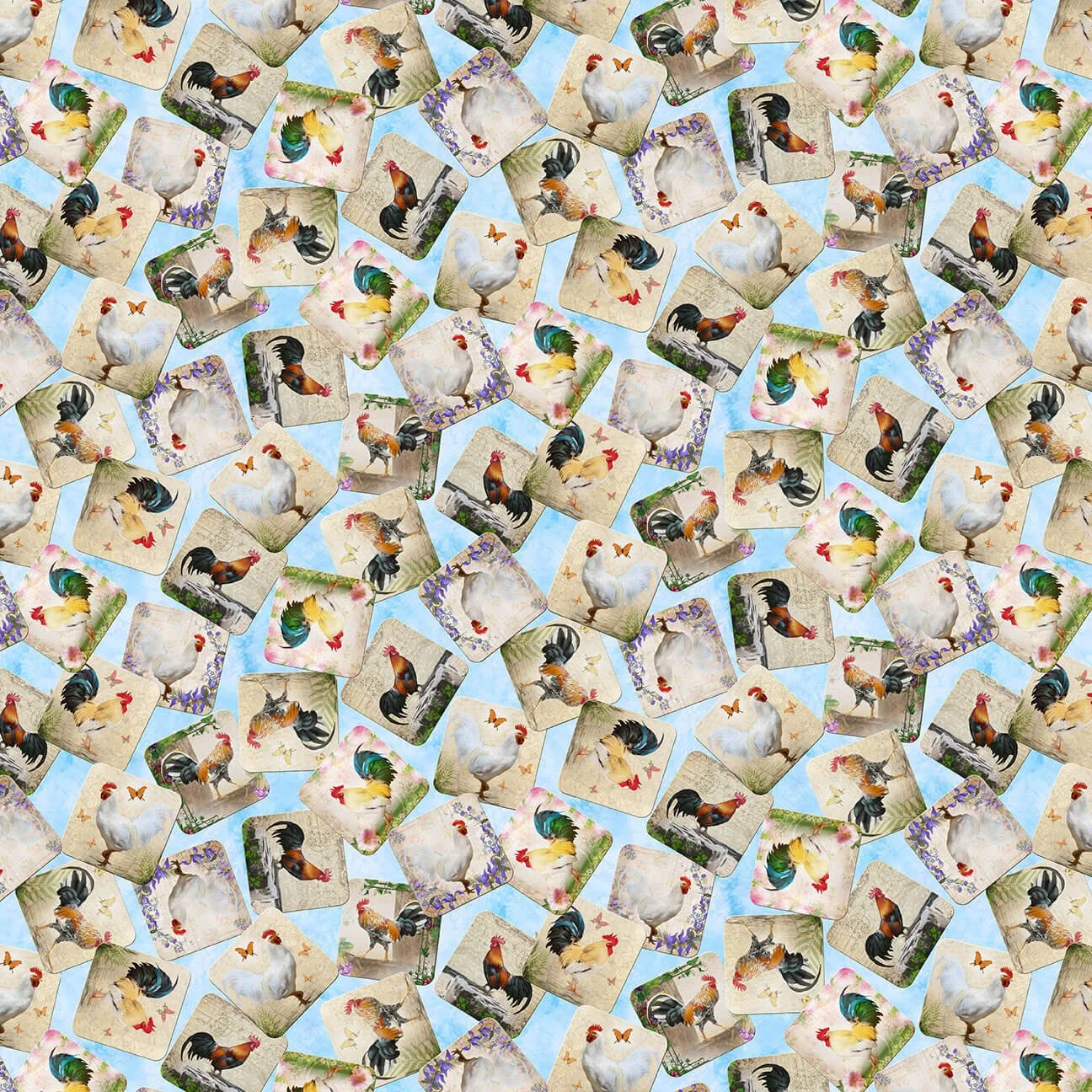 Tossed Chickens and Roosters in Squares