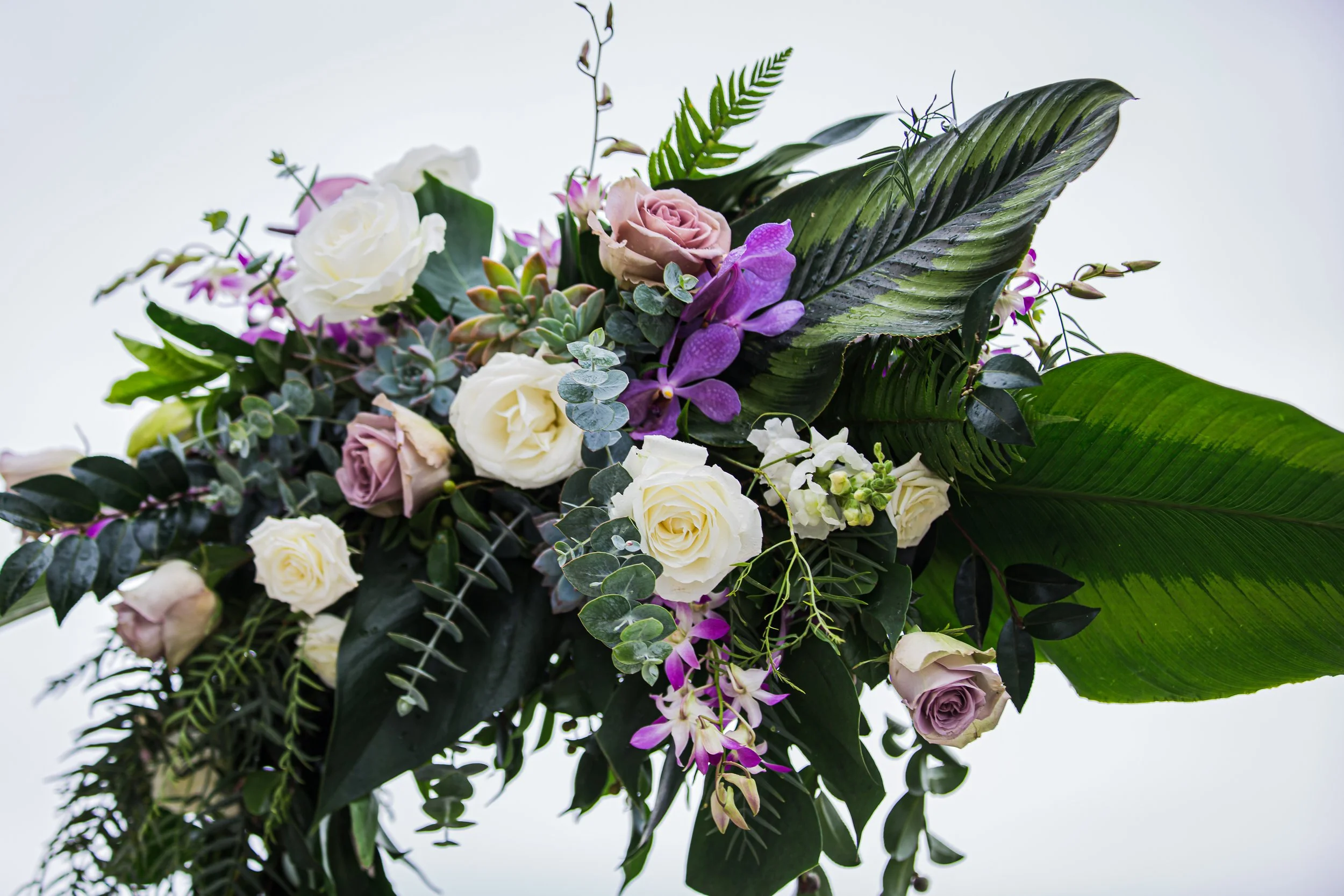 FBF91BC3-01B3-4F8F-9F49-8ECD5B5AB49B_L0_001-11_4_2024, 4_15_04 PM.jpg