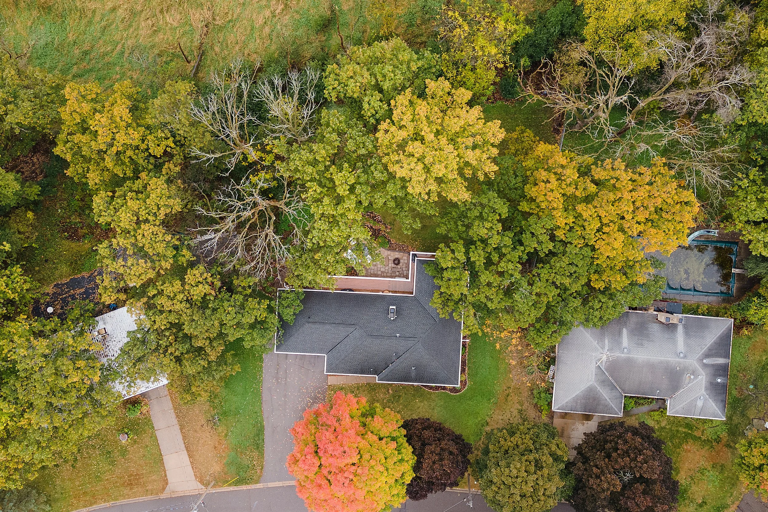 DJI_0549.jpg