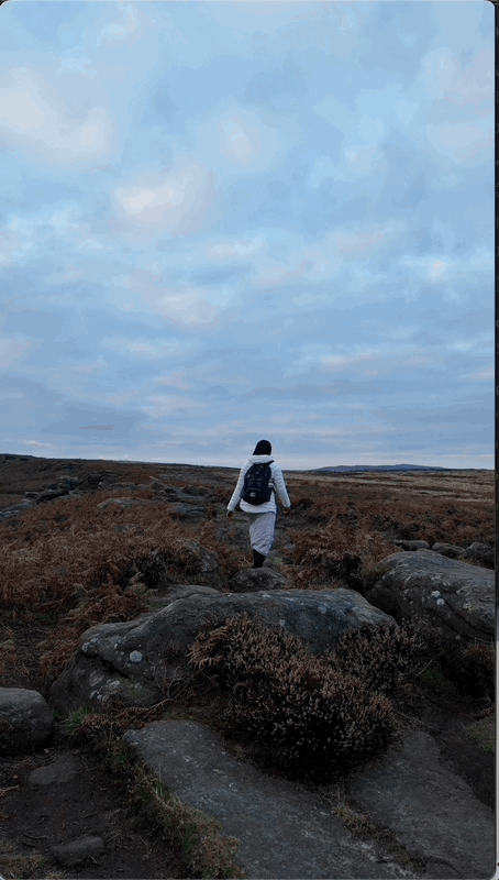 Jan-07-2025 10-46-36.gif