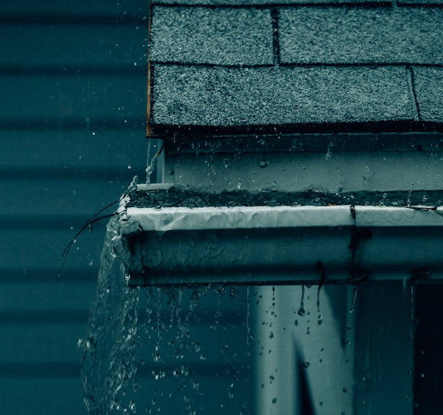 Basement Moisture: Everything Homeowners Need to Know
