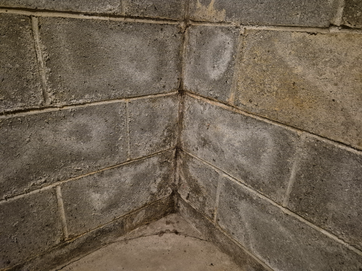 Basement Moisture: Everything Homeowners Need to Know