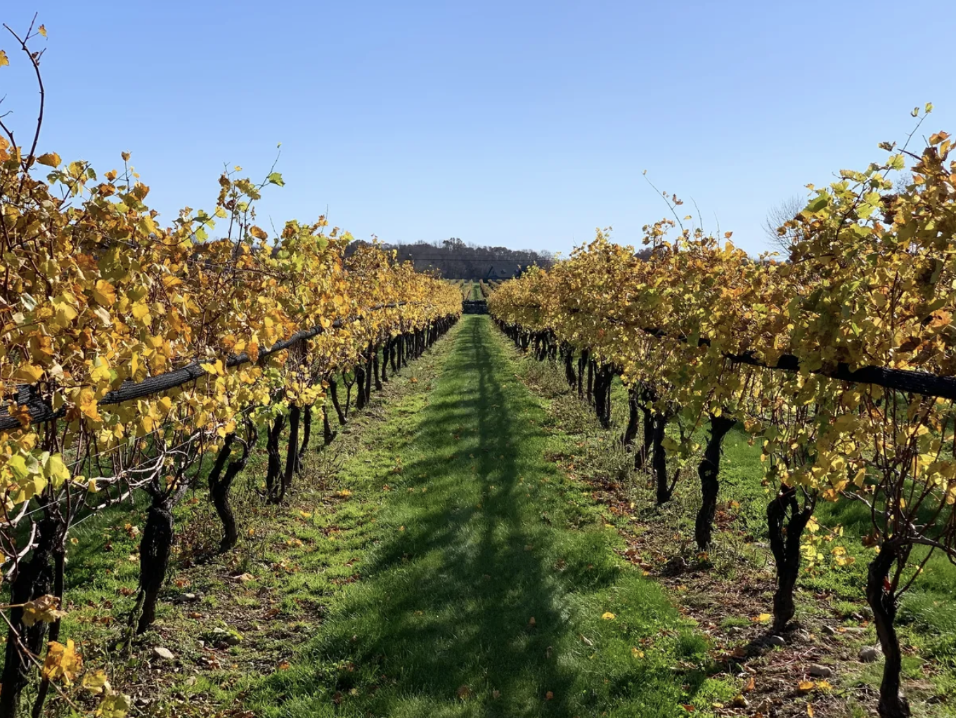 Screenshot 2024-07-15 at 7.29.17 PM.png