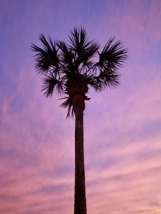 Perks of working the night shift 😍 🌅 🌴 #sunset #beachsunset #30asunset #panamacitybeach #springbreak